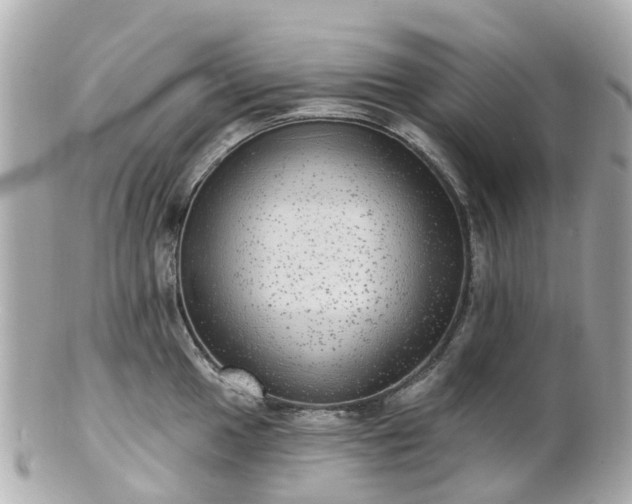 X0000100911049200807011239