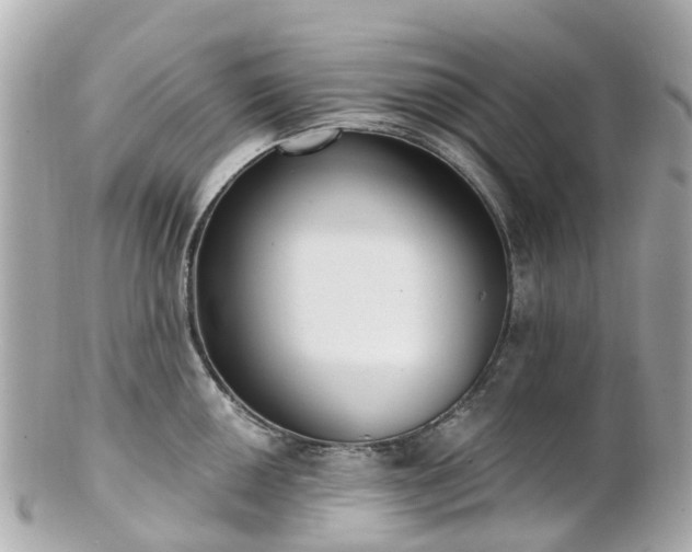 X0000100911050200807011239