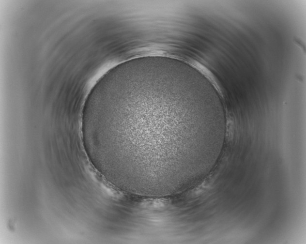 X0000100911051200807011239
