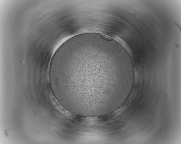 X0000100911052200807011239