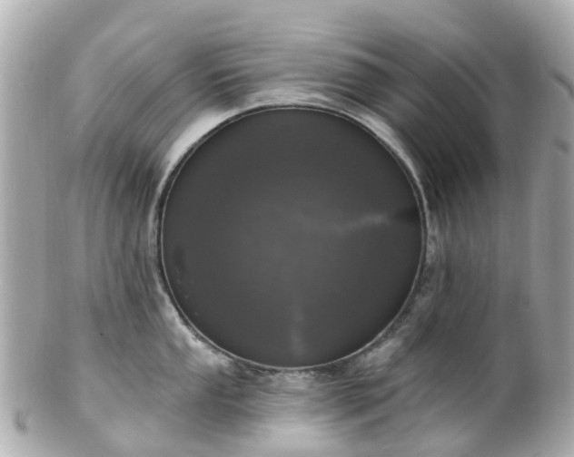 X0000100911053200807011239