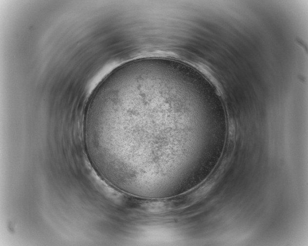 X0000100911054200807011239
