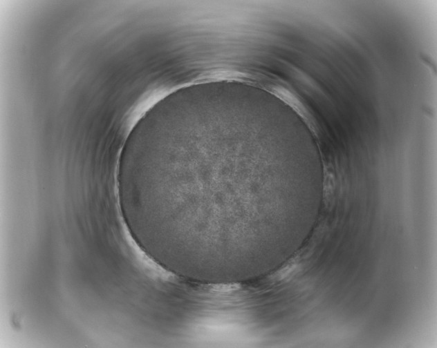 X0000100911055200807011239
