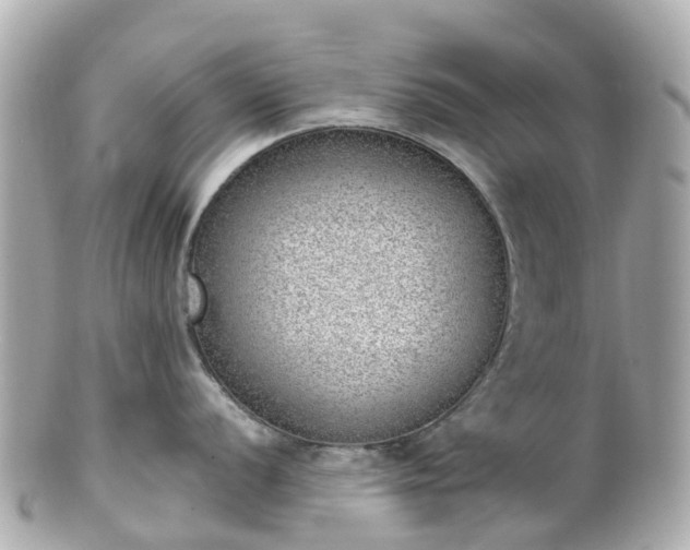 X0000100911056200807011239