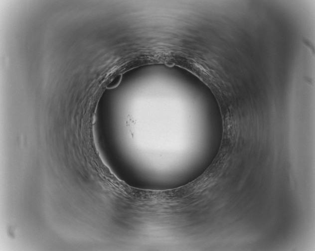 X0000100911057200807011238