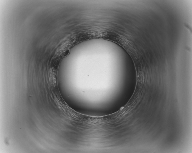 X0000100911058200807011238