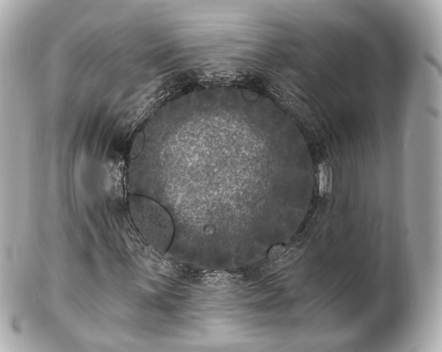 X0000100911059200807011238