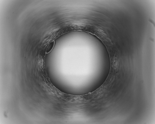 X0000100911061200807011238