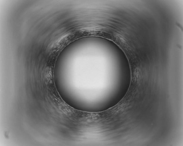 X0000100911062200807011238