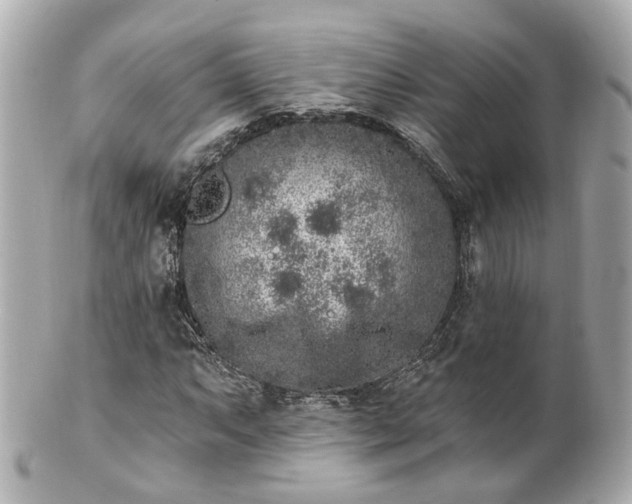 X0000100911063200807011238