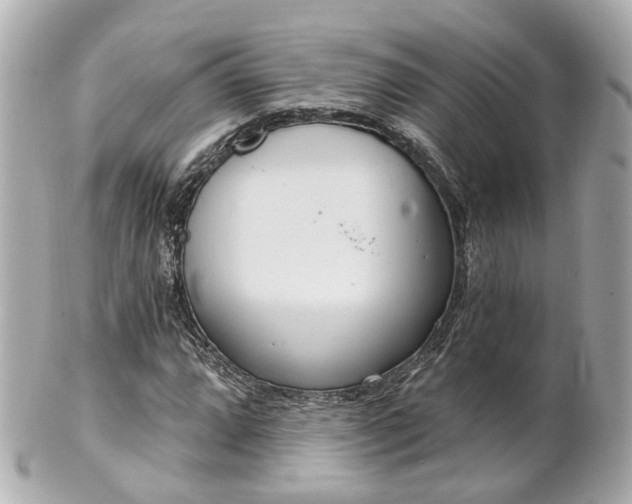 X0000100911064200807011238