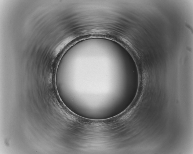 X0000100911066200807011238