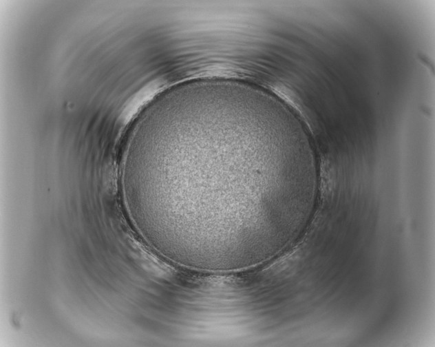 X0000100911067200807011238
