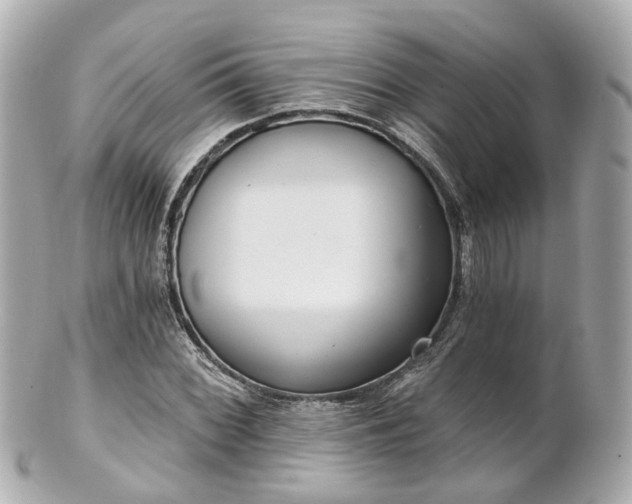 X0000100911068200807011238