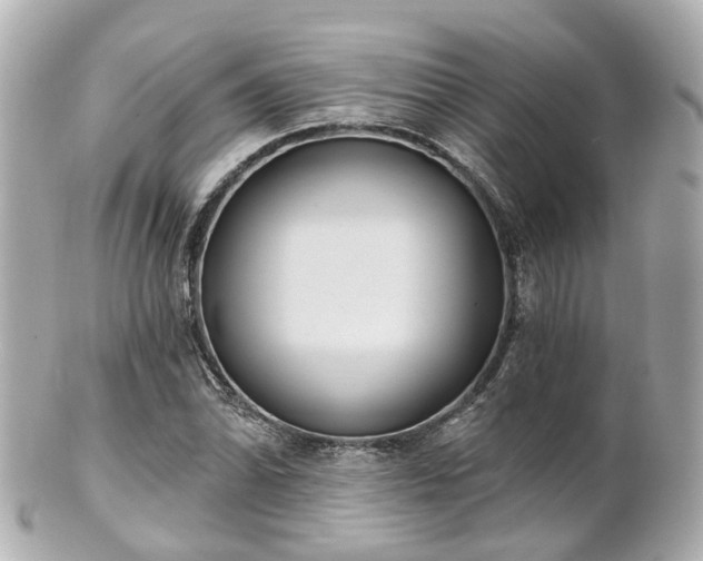 X0000100911070200807011238