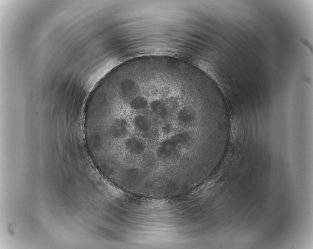 X0000100911071200807011238