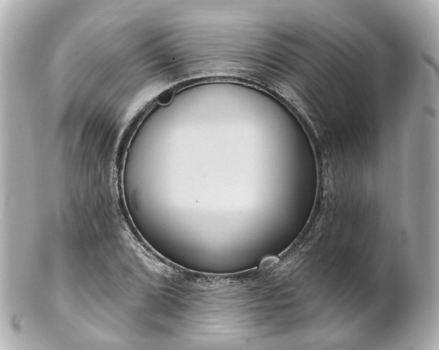 X0000100911072200807011238
