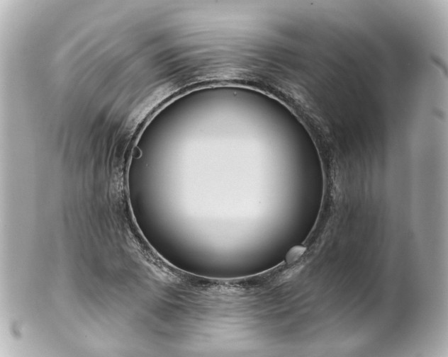 X0000100911073200807011238