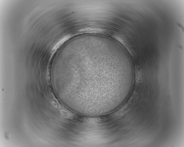 X0000100911074200807011238
