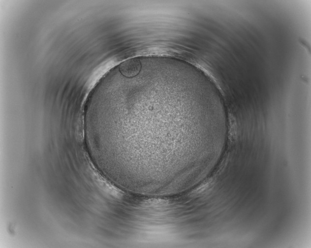 X0000100911075200807011238