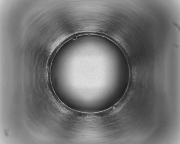 X0000100911077200807011238