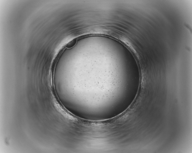 X0000100911080200807011238