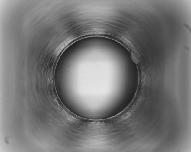 X0000100911081200807011238