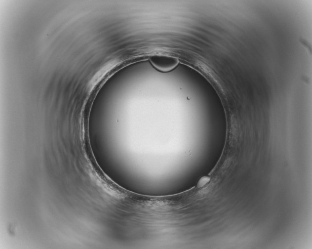 X0000100911082200807011238