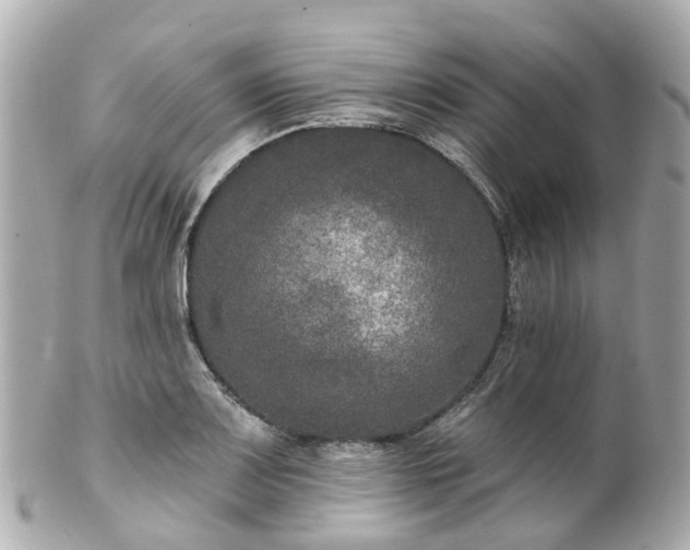 X0000100911083200807011238