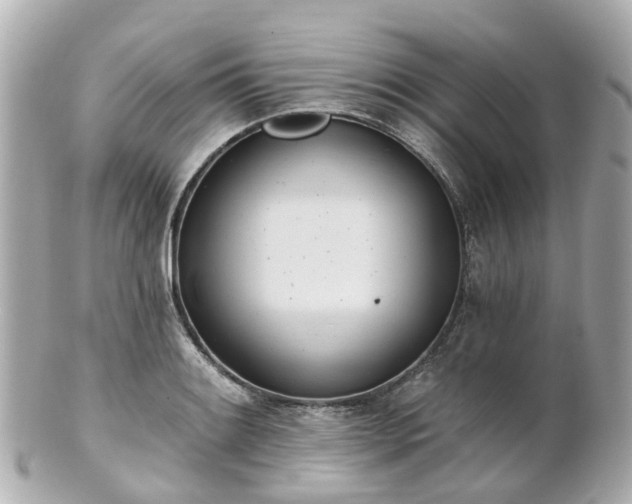 X0000100911084200807011238