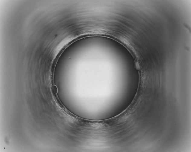 X0000100911085200807011238