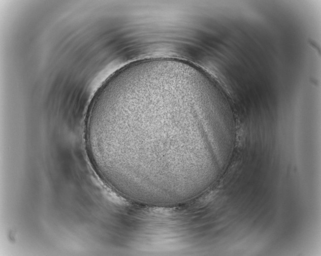 X0000100911086200807011238
