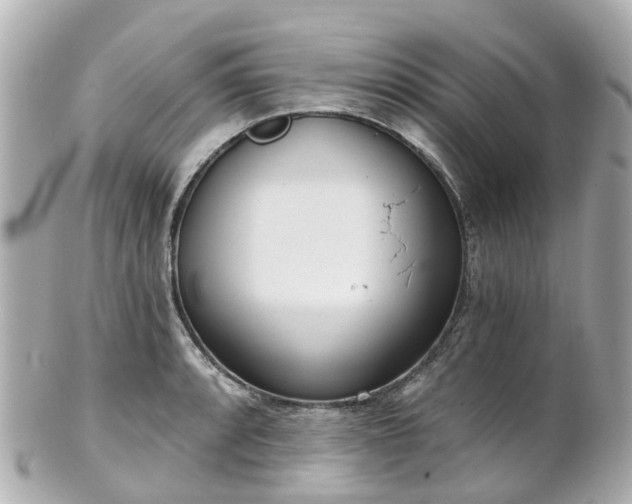 X0000100911088200807011238