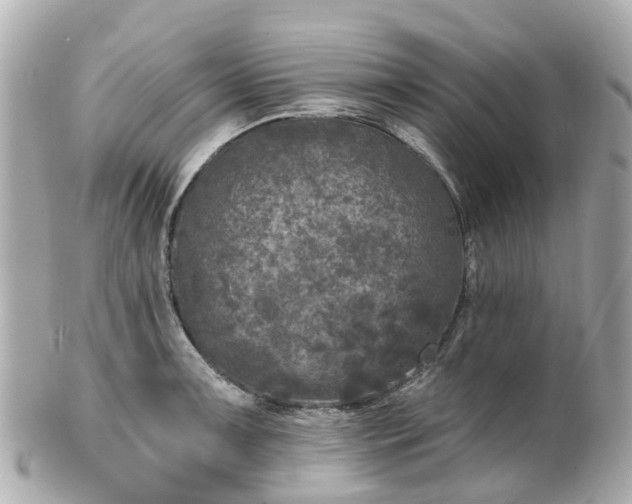 X0000100911091200807011238