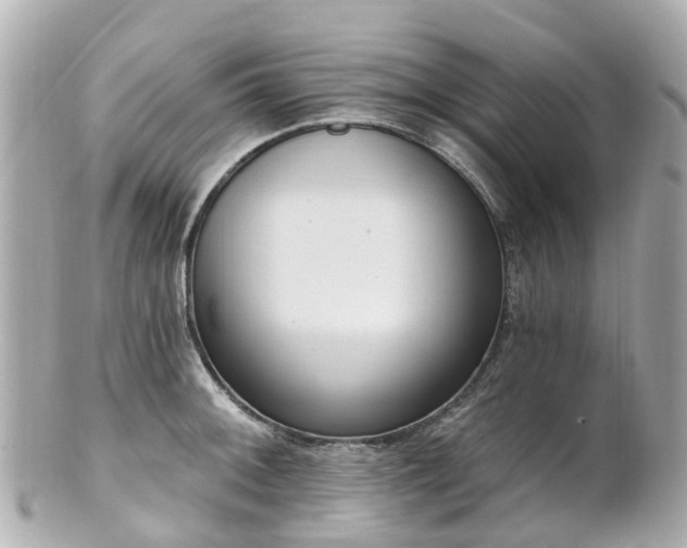 X0000100911092200807011238