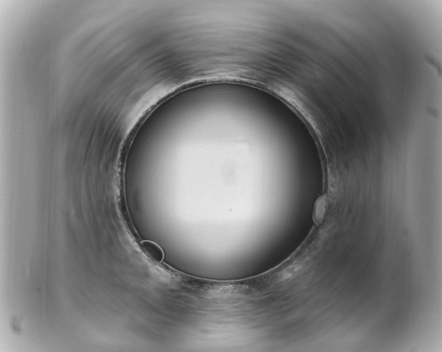X0000100911093200807011238