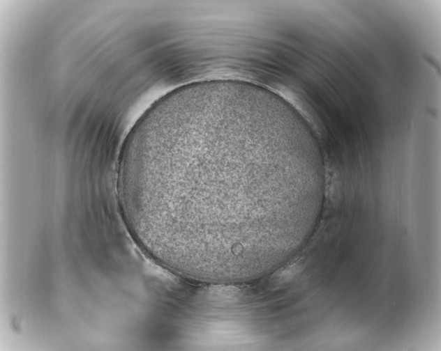 X0000100911094200807011238