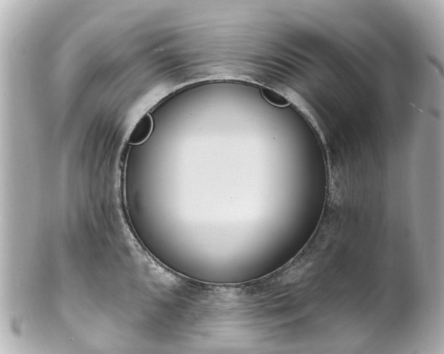 X0000100911096200807011238