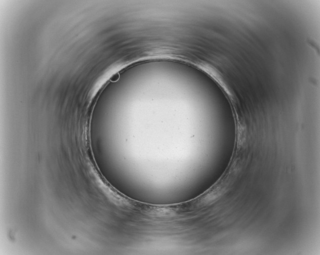 X0000100911101200807011238