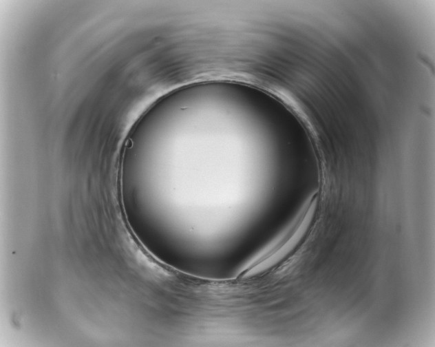 X0000100911102200807011238