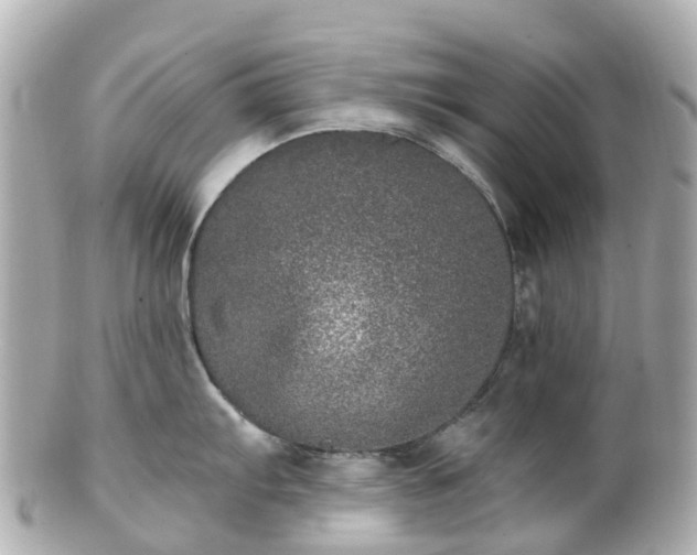 X0000100911103200807011238
