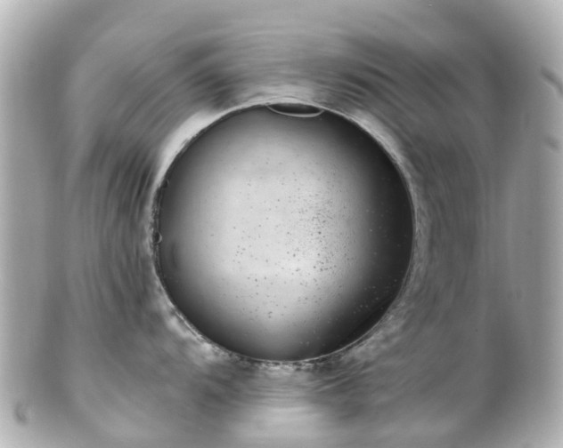 X0000100911104200807011238