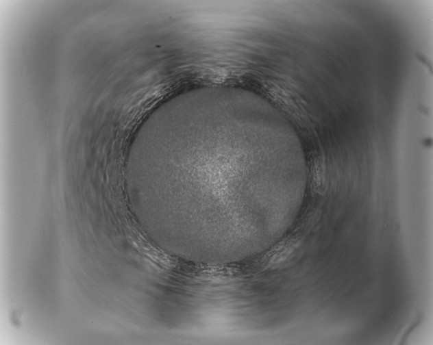 X0000100911105200807011237
