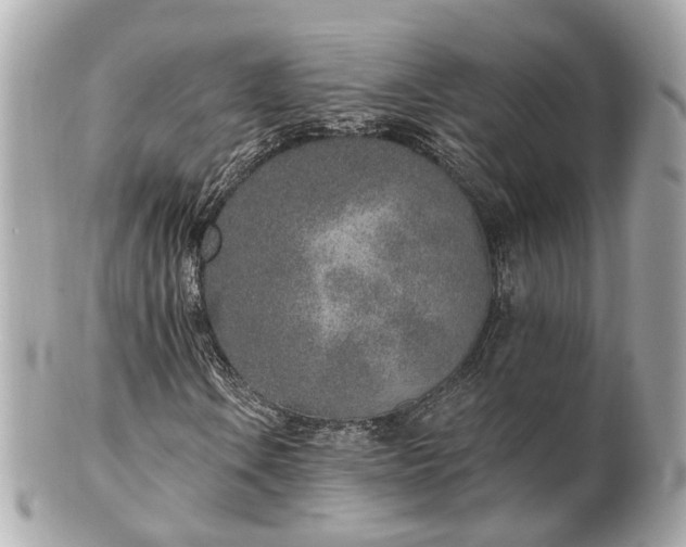 X0000100911106200807011237