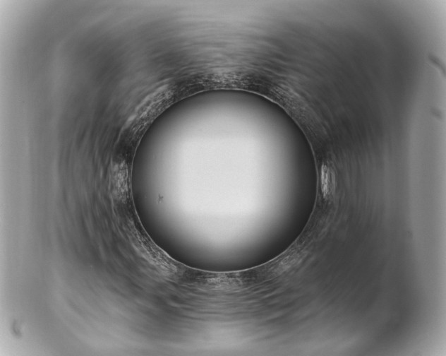 X0000100911107200807011237