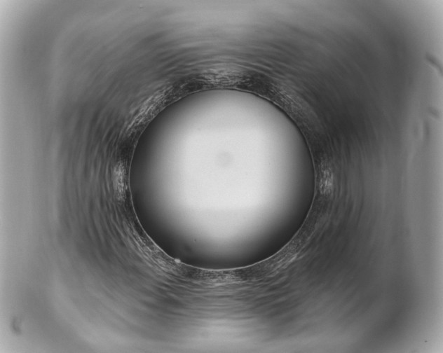 X0000100911108200807011237