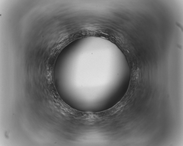 X0000100911109200807011237