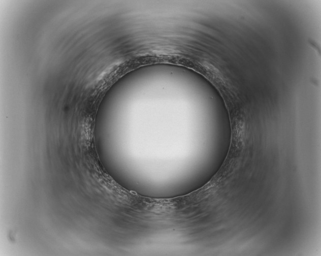 X0000100911110200807011237