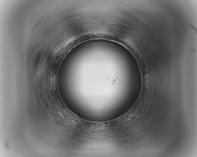 X0000100911111200807011237