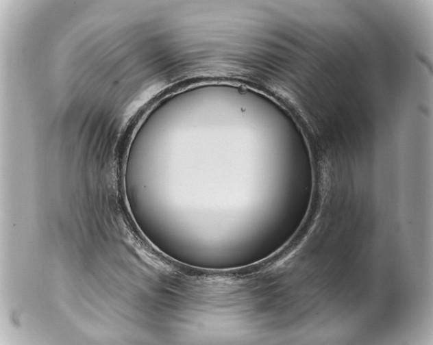 X0000100911114200807011237